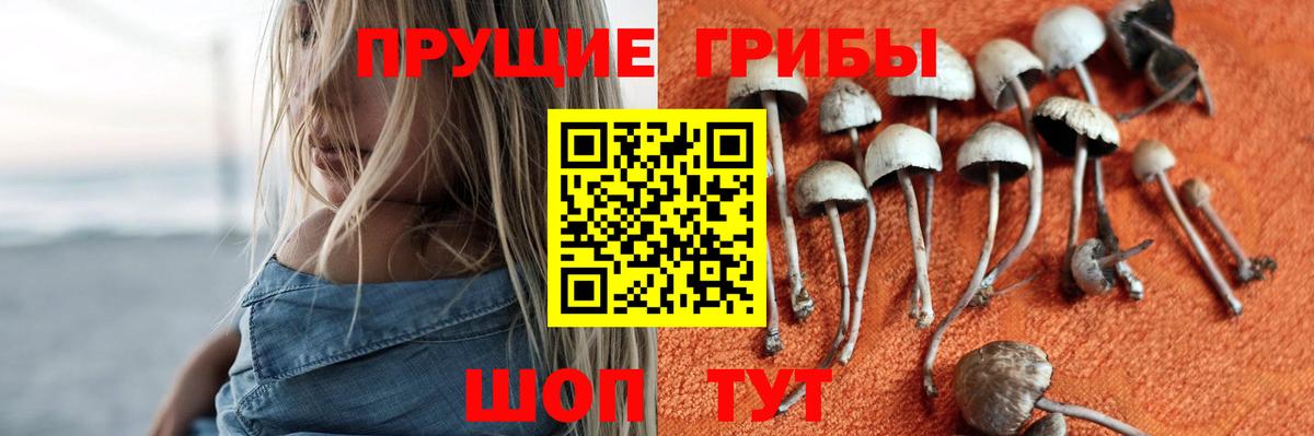 Галлюциногенные грибы мухоморы  продажа наркотиков  Алексеевка  Вход с VPN 